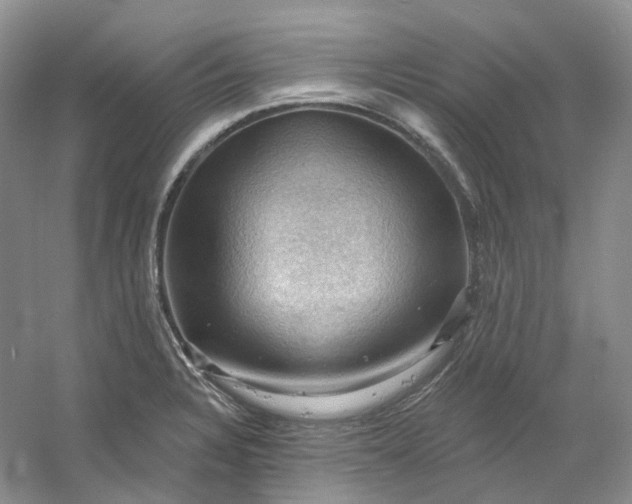 X0000053081328200507251515