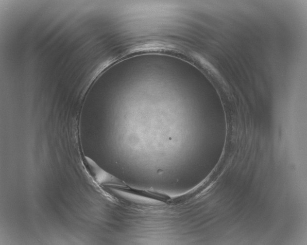 X0000053081329200507251515