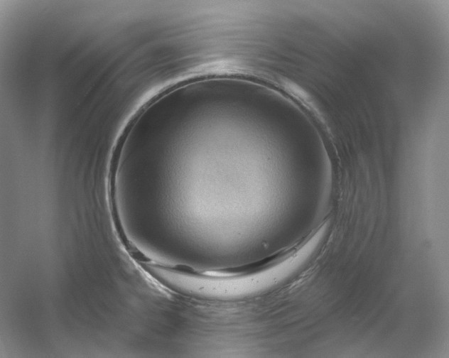X0000053081334200507251516