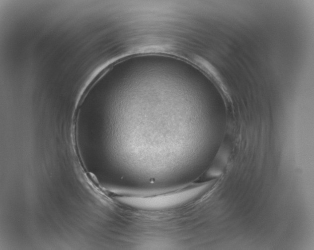 X0000053081340200507251516