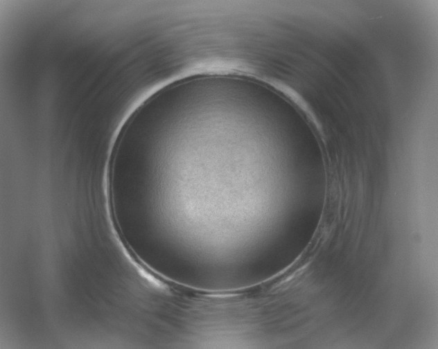 X0000053081343200507251516