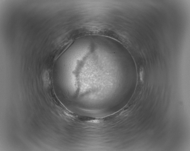 X0000053081347200507251515