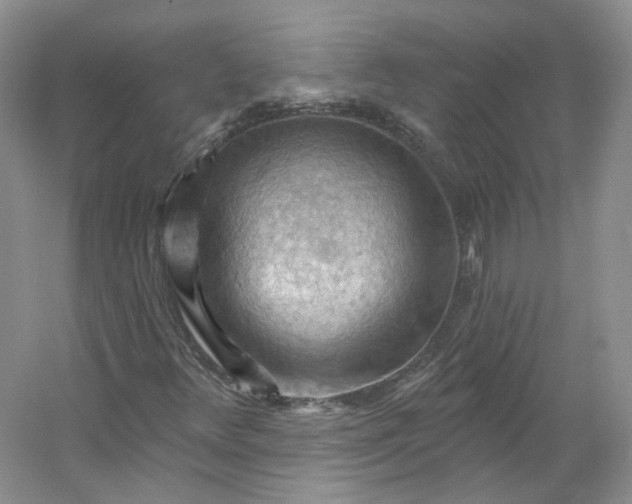 X0000053081348200507251515