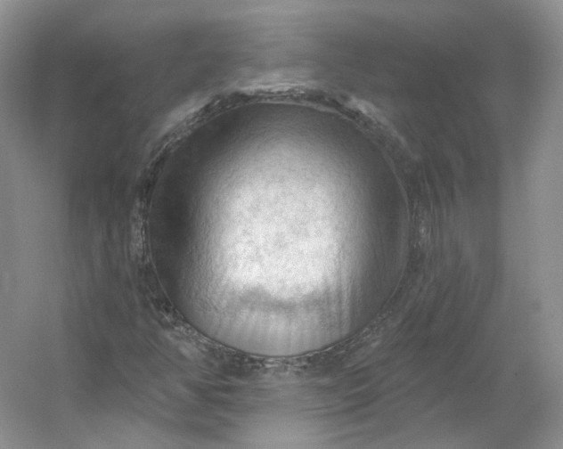 X0000053081350200507251515