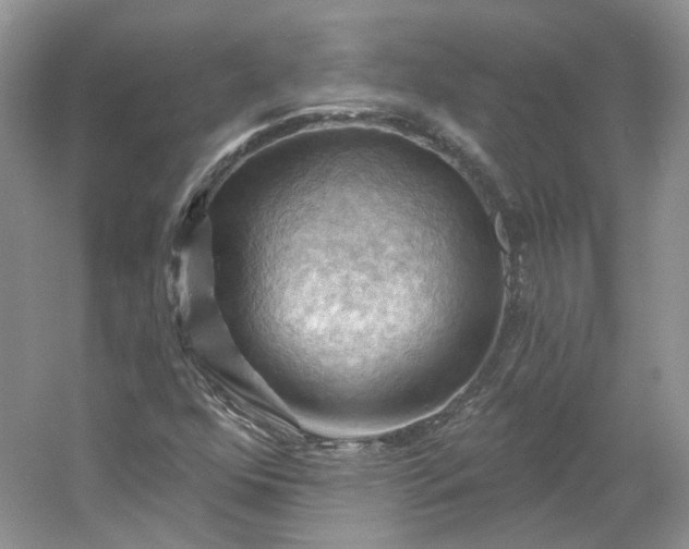 X0000053081352200507251515