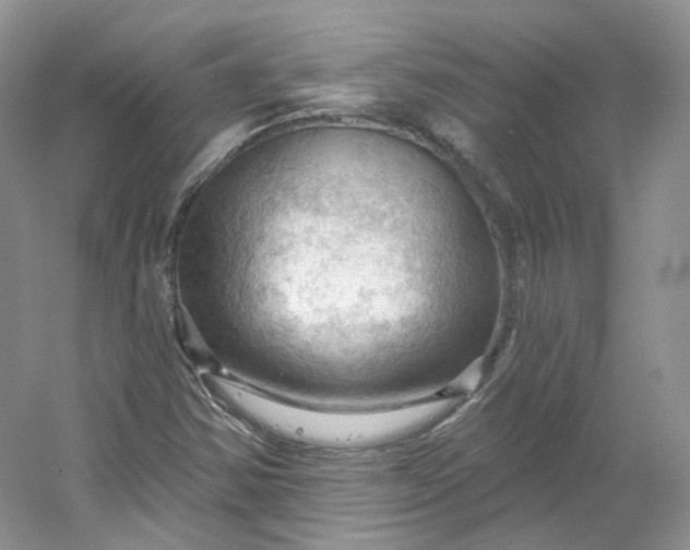 X0000053081354200507251515