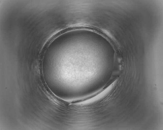 X0000053081356200507251515