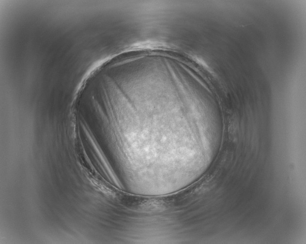 X0000053081358200507251515