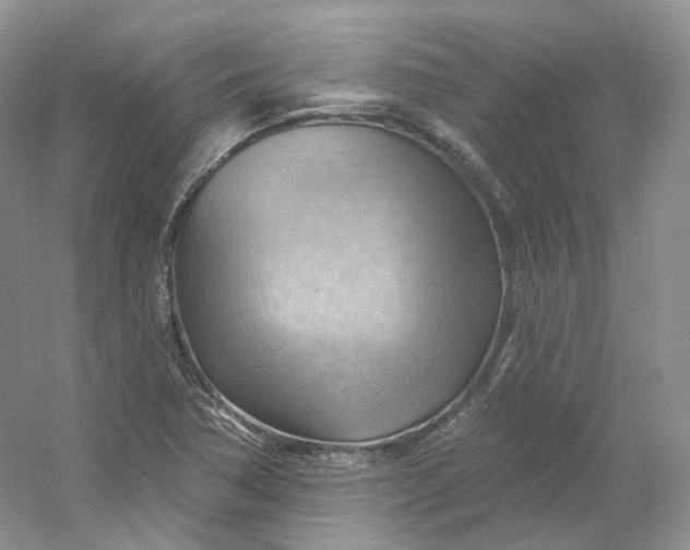 X0000053081362200507251515