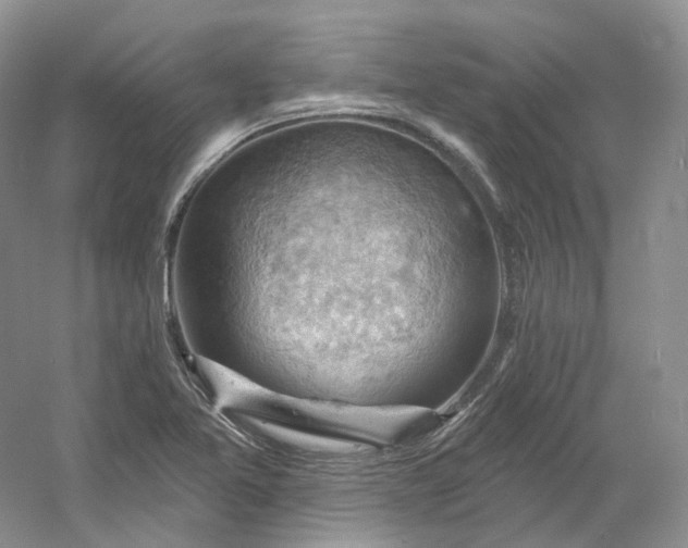X0000053081365200507251515