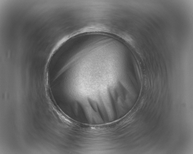 X0000053081366200507251515