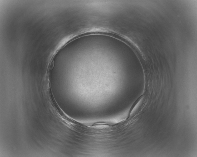 X0000053081367200507251515