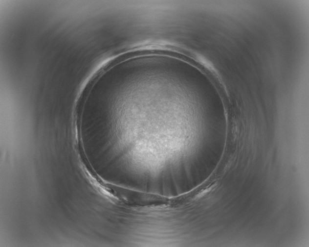 X0000053081368200507251515