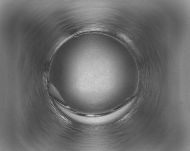X0000053081369200507251515