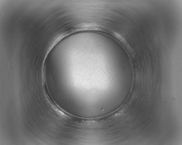 X0000053081370200507251515