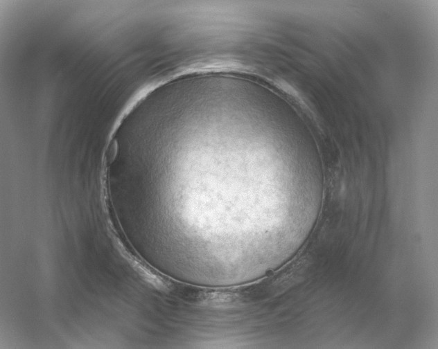X0000053081374200507251514
