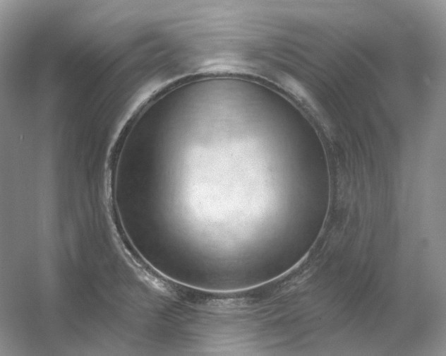 X0000053081376200507251514