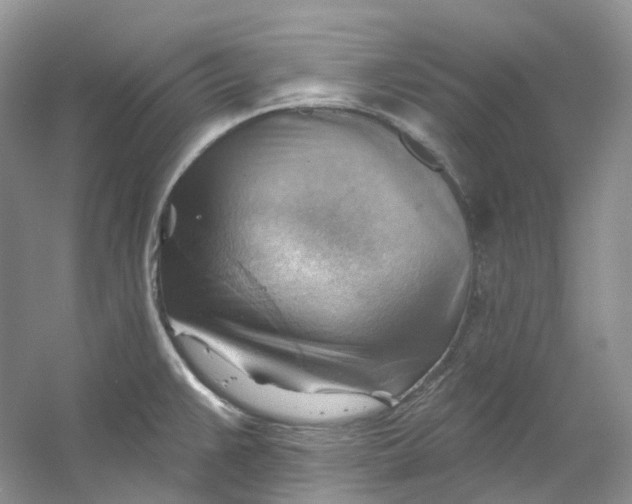 X0000053081383200507251514