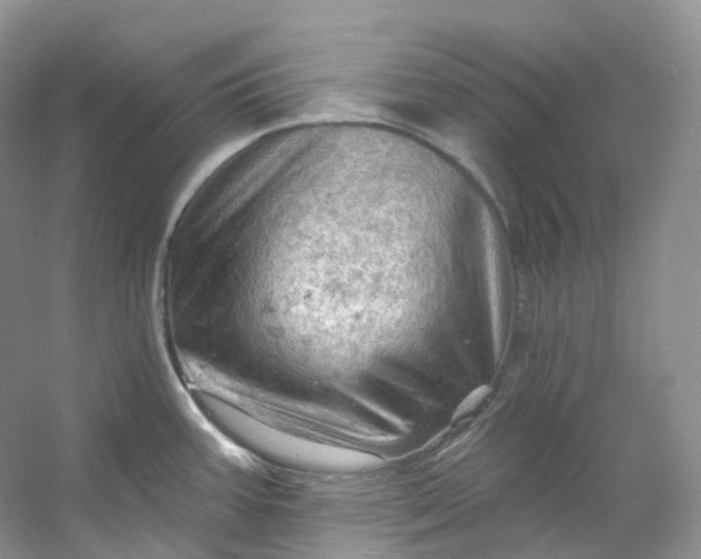 X0000053081387200507251514
