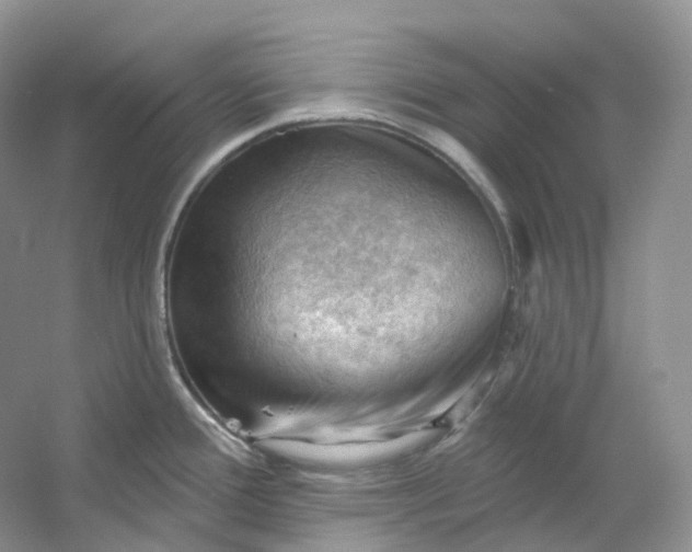 X0000053081388200507251514