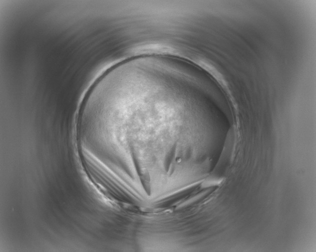X0000053081392200507251514