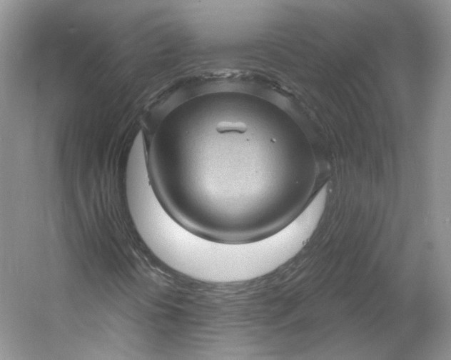 X0000053081394200507251513
