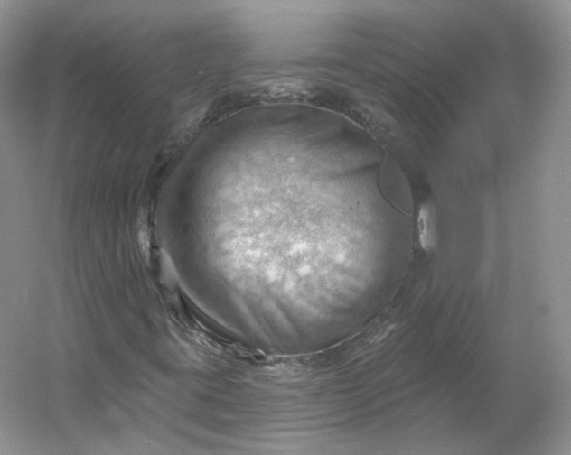X0000053081395200507251513