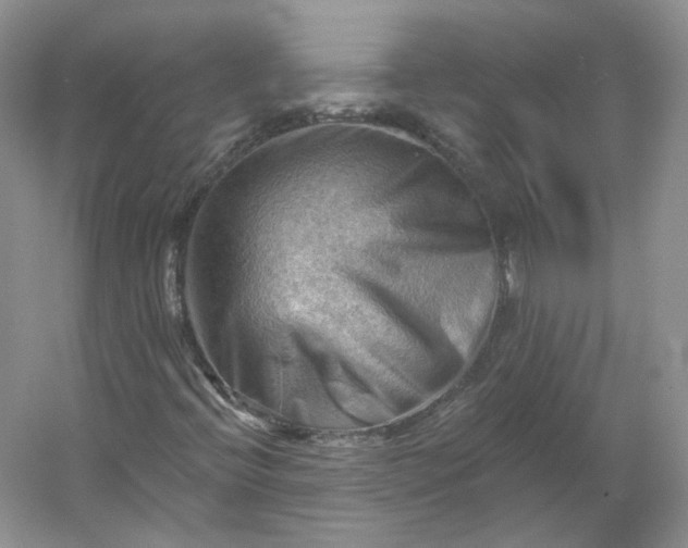 X0000053081396200507251513