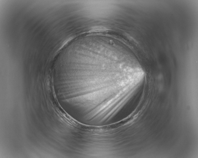 X0000053081401200507251513