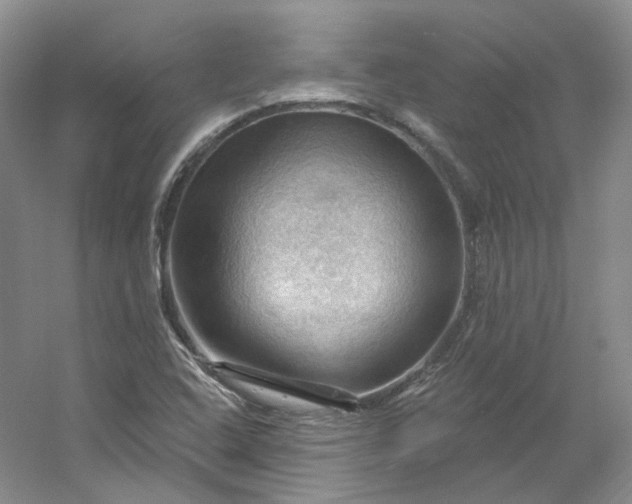 X0000053081408200507251514