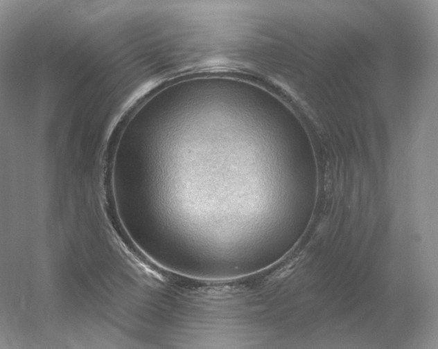 X0000053081410200507251514