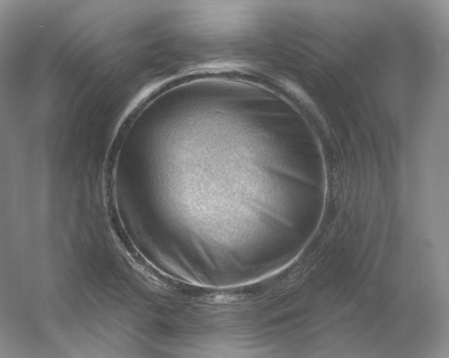 X0000053081412200507251514