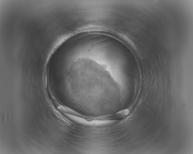 X0000053081413200507251514