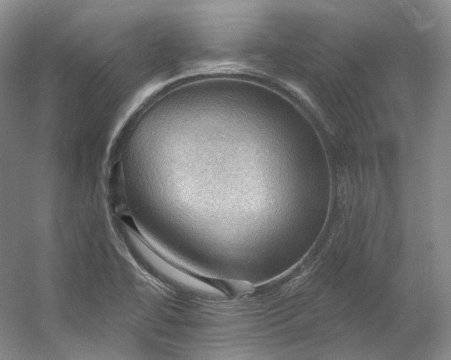 X0000053081414200507251514