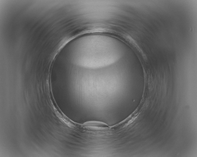 X0000053081417200507251514