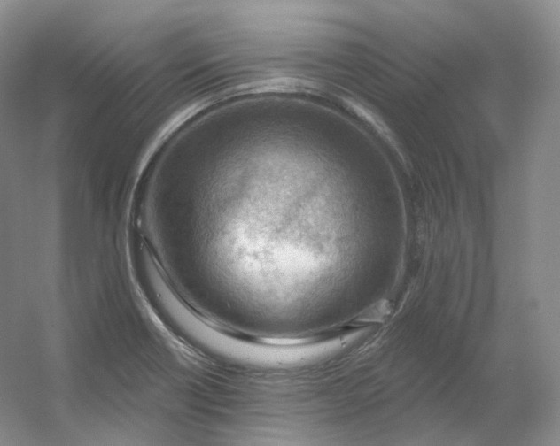 X0000053081418200507251514