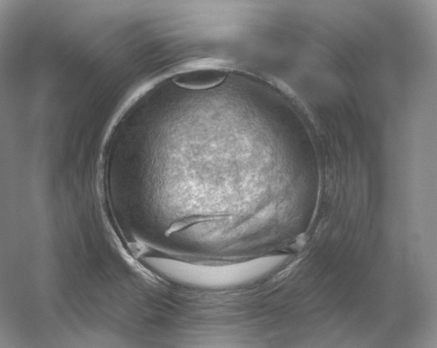 X0000053081421200507251514