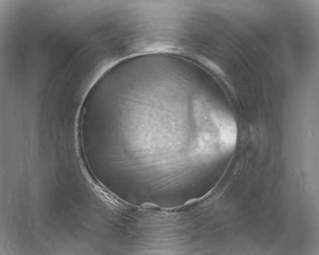 X0000053081423200507251514