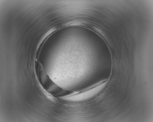 X0000053081426200507251514