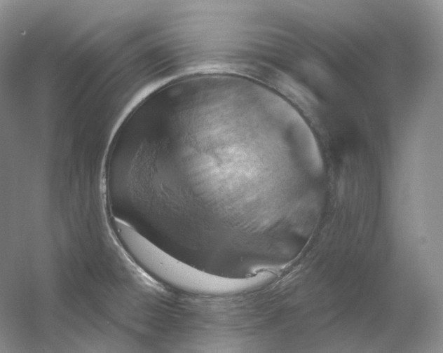 X0000053081428200507251514