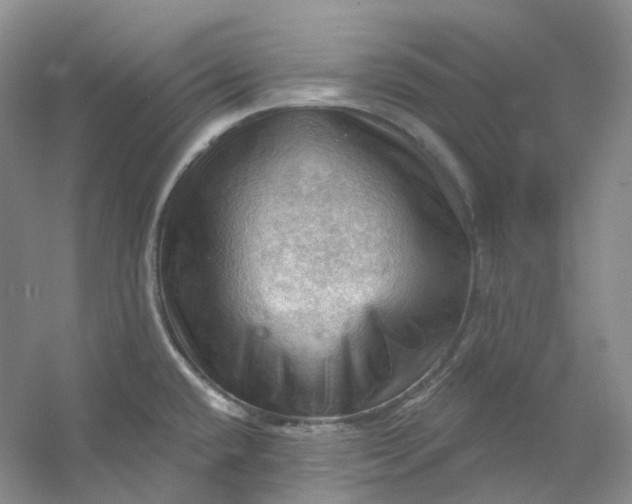 X0000053081432200507251514