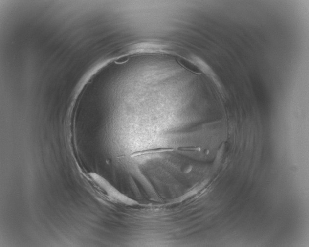 X0000053081435200507251514
