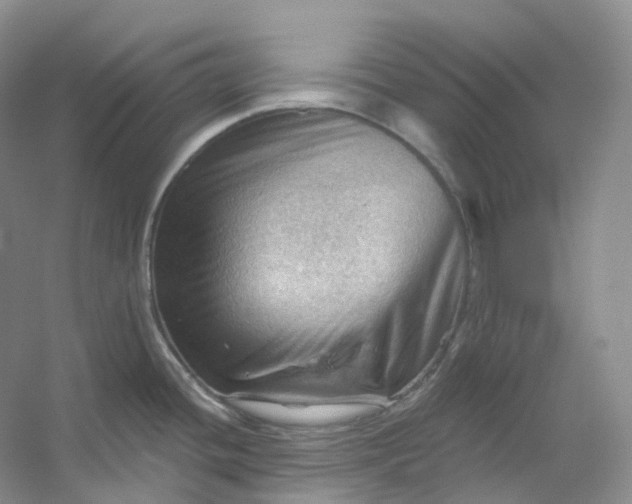X0000053081436200507251514