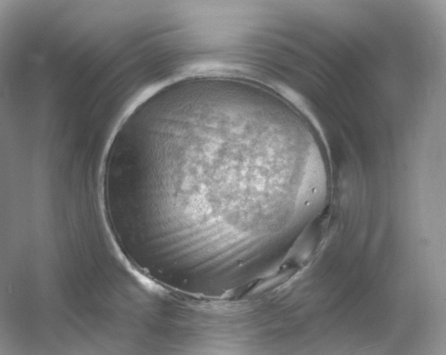 X0000053081437200507251514
