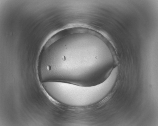 X0000053081438200507251514