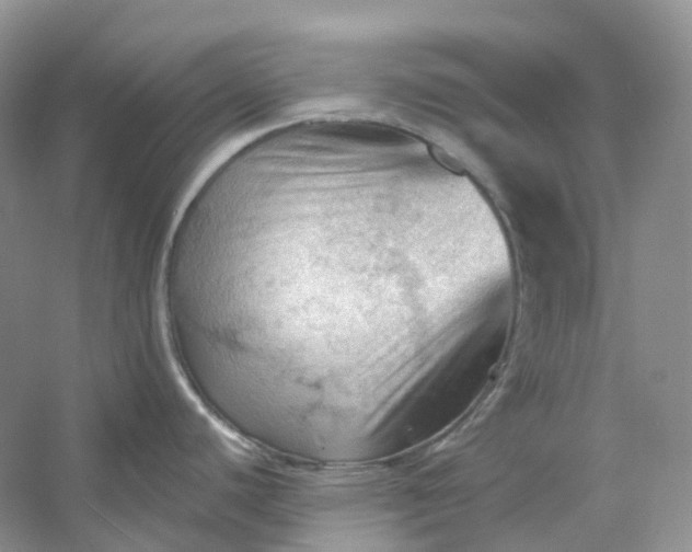 X0000053081440200507251514