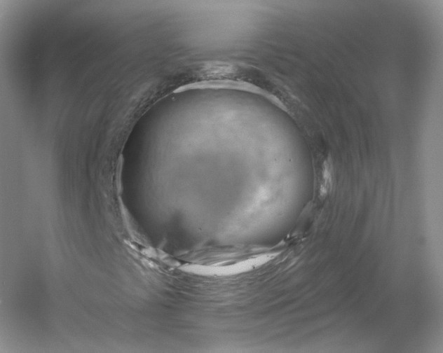 X0000053081441200507251513
