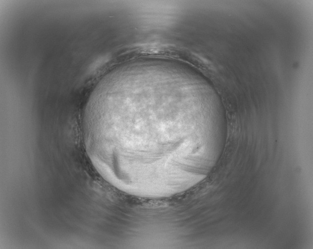 X0000053081446200507251513