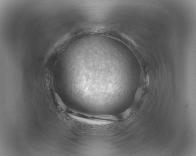 X0000053081447200507251513