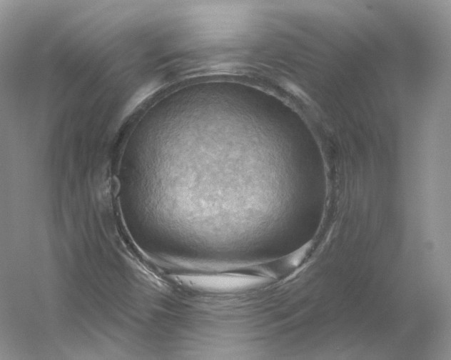 X0000053081450200507251513